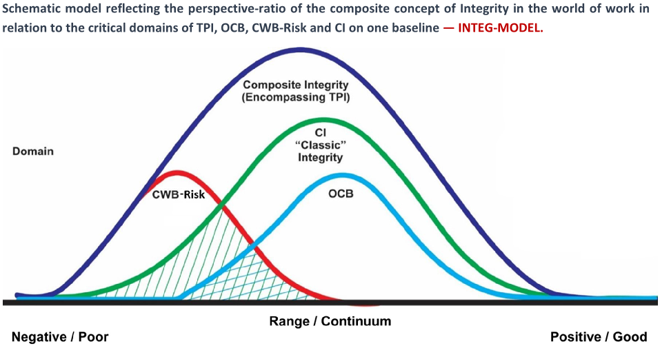 Composite Integrity Assessment Strategy (CIAS-Model)